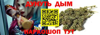 Альфа ПВП Краснознаменск