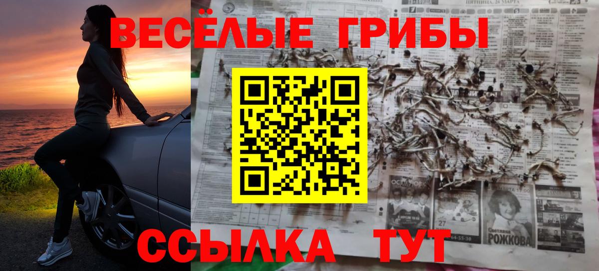 Галлюциногенные грибы Psilocybe  сколько стоит  Кашира  Вход с VPN 