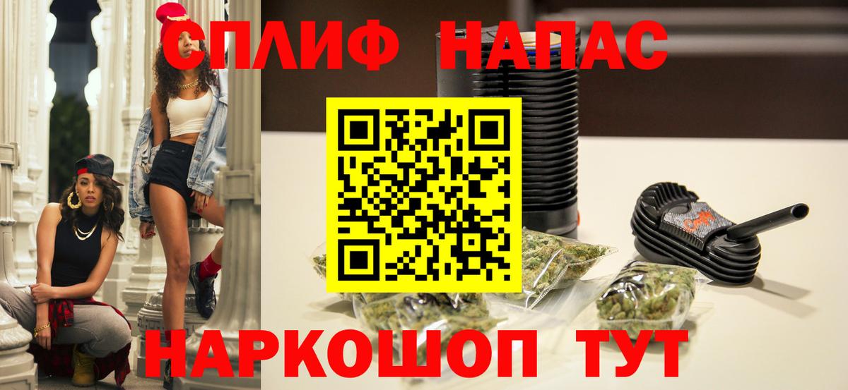 Каннабис планчик Кашира